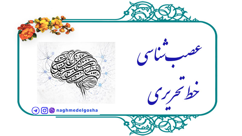 عصب‌شناسی خط تحریری,آناتومی نوشتن - کدام بخش‌های مغز فعال می‌شوند؟,تفاوت نوشتن با دست و تایپ کردن از دید عصب‌شناختی